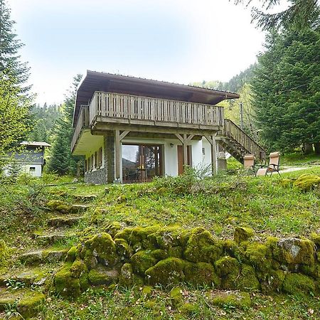 Le Schwarzwald - A Proximite Des Stations De Ski ラ・ブレス エクステリア 写真